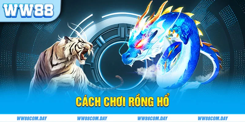 Cách chơi rồng hổ - Bùng nổ trong từng khoảnh khắc