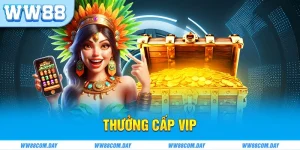 Thưởng Cấp VIP WW88 - Siêu Thưởng Tri Ân Khách Hàng